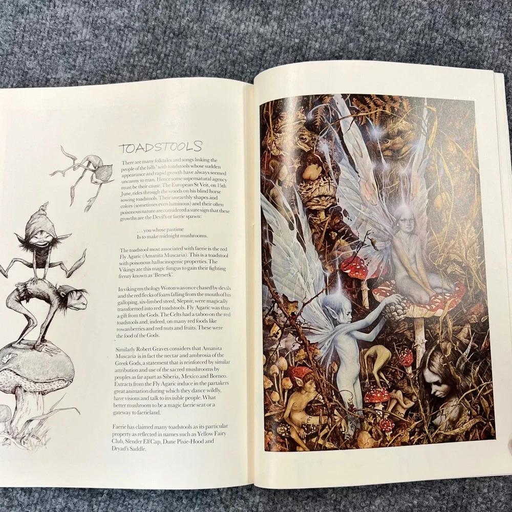 Harry N. Abrams Faeries Paper Back Book 1978 Brian Froud Alan Lee Fantasy Art